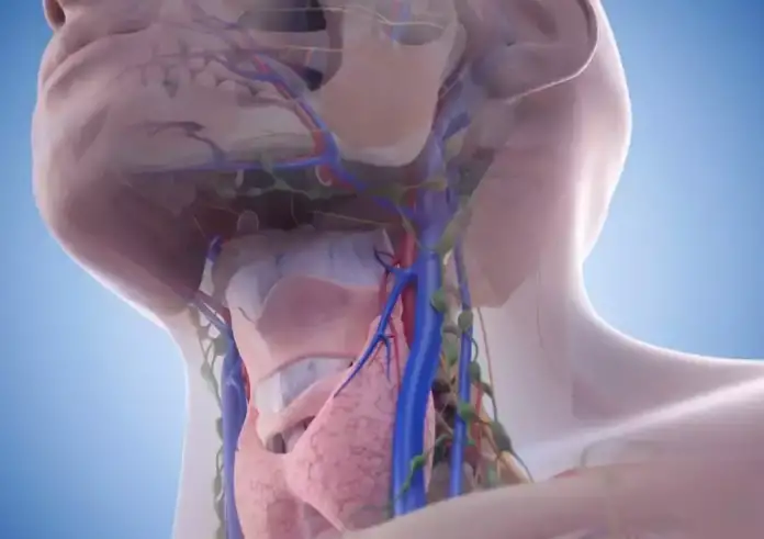 Λέμφωμα – καρκίνος: Προσοχή στα «αθώα» συμπτώματα – Πού να ψηλαφήσετε για την αυτοεξέταση