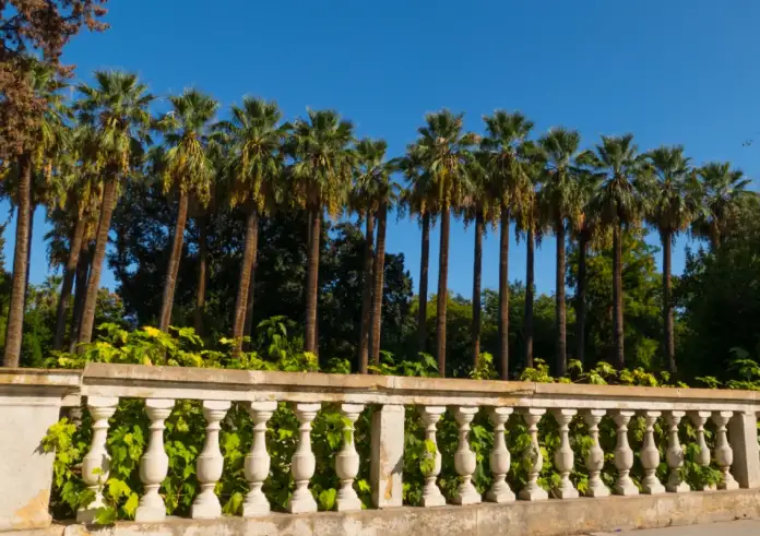 Κλειστός και ο Εθνικός Κήπος λόγω των ισχυρών ανέμων μετά τον Λυκαβηττό