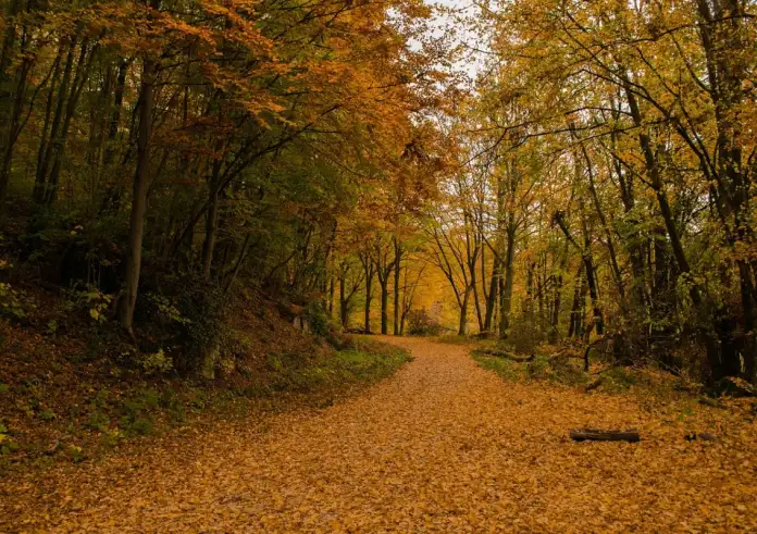 Φθινοπωρινή Ισημερία 2025: Η μέρα που μπαίνουμε επίσημα στο φθινόπωρο