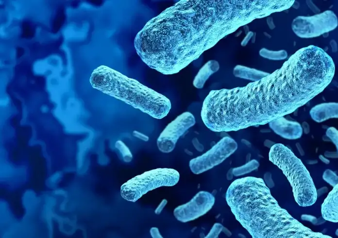 Έμεινε παράλυτος αφού έφαγε ένα σάντουιτς γαλοπούλας – Τι είναι η λιστέρια