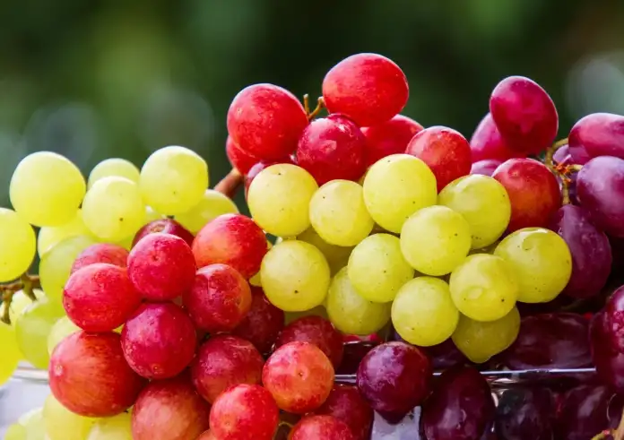 Αυτό είναι το νόστιμο σνακ που προστατεύει από τον καρκίνο και βελτιώνει τον ύπνο - Μόλις 62 θερμίδες