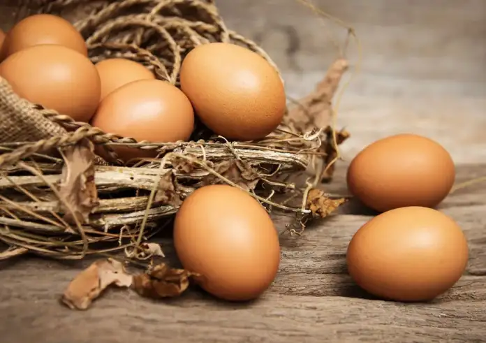 Η συσχέτιση της κατανάλωσης αυγών με τη γνωστική λειτουργία και την υγεία του εγκεφάλου