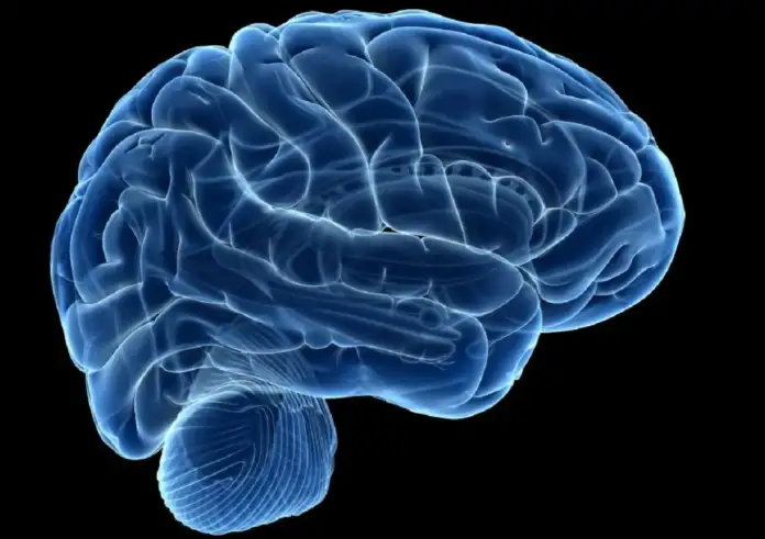 Είχε ημικρανίες και βρέθηκαν σκουλήκια στον εγκέφαλό του – Η υπεύθυνη διατροφική συνήθεια