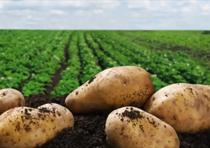 ΕΛΓΑ: Πληρωμές 30 εκατ. ευρώ για ζημιές φυτικής παραγωγής και ζωικού κεφαλαίου του 2024