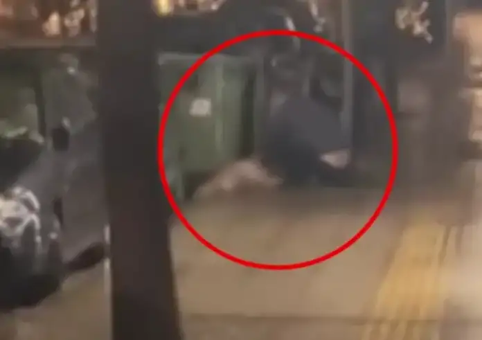 Σπαρταρούσε από τον πόνο, έκλαιγε: Συγκλονίζει αυτόπτης μάρτυρας για το σκυλάκι που μαχαίρωσε 47χρονος στην Κυψέλη