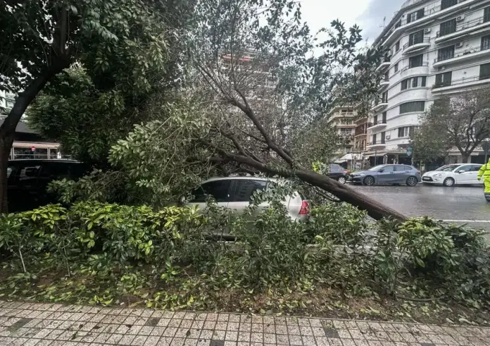 Τι λέει ο ΔΕΔΔΗΕ για τα προβλήματα ηλεκτροδότησης από την κακοκαιρία Bora σε Θεσσαλονίκη και Χαλκιδική