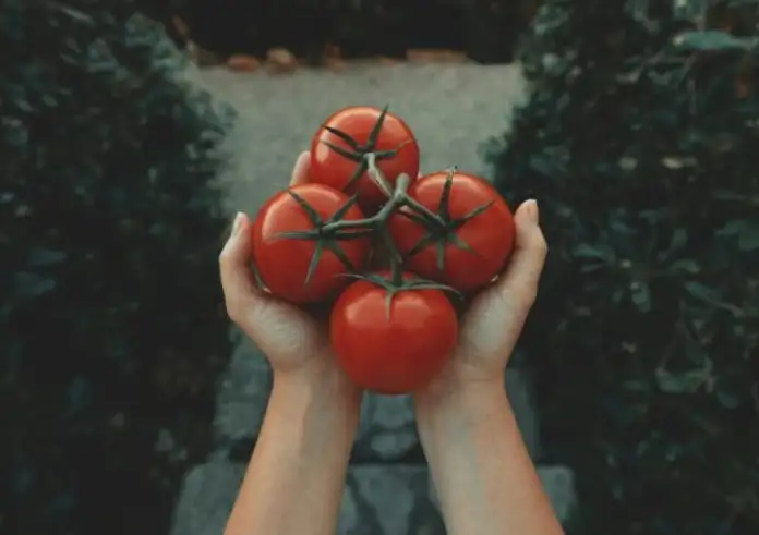 Ντομάτες: Τι θα συμβεί στο σώμα σας αν τρώτε κάθε μέρα