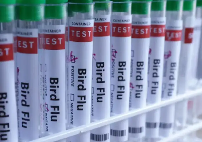 Φινλανδία - Γρίπη των πτηνών: Ξεκινά πρώτη παγκοσμίως τους εμβολιασμούς σε ανθρώπους