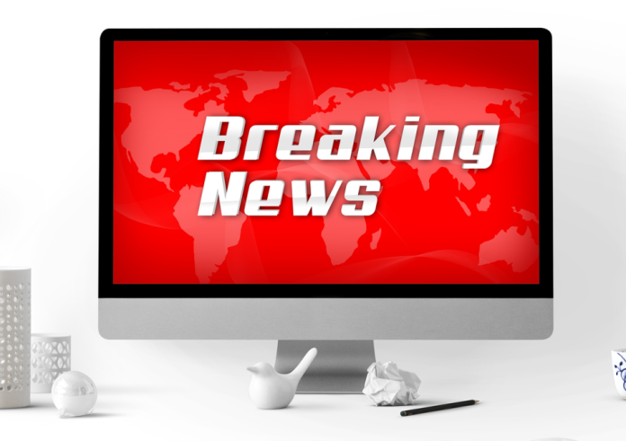 Βέλγιο: Τουριστικό λεωφορείο προσέκρουσε σε δέντρο στις Βρυξέλλες – Αναφορές για τραυματίες