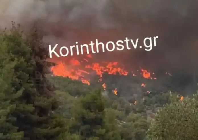 Φωτιές στην Κορινθία: Διπλό πύρινο μέτωπο σε Αμμώνι και Εξαμίλια – Τραυματίστηκε πυροσβέστης