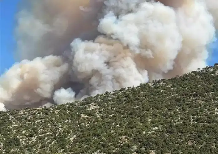 Μεγάλη φωτιά στη Θεσπρωτία στην περιοχή Παλαμπά, κοντά στο χωριό οι φλόγες
