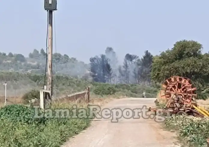Μεγάλη φωτιά τώρα στη Φθιώτιδα - Σηκώθηκαν 4 εναέρια μέσα