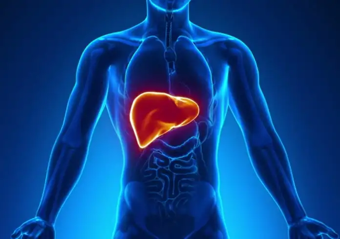 Συκώτι: Αυτές είναι οι τροφές που το κρατούν υγιές