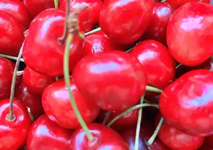 Κεράσι: Συμβάλλει στον καλύτερο ύπνο και τη μείωση της χοληστερίνης