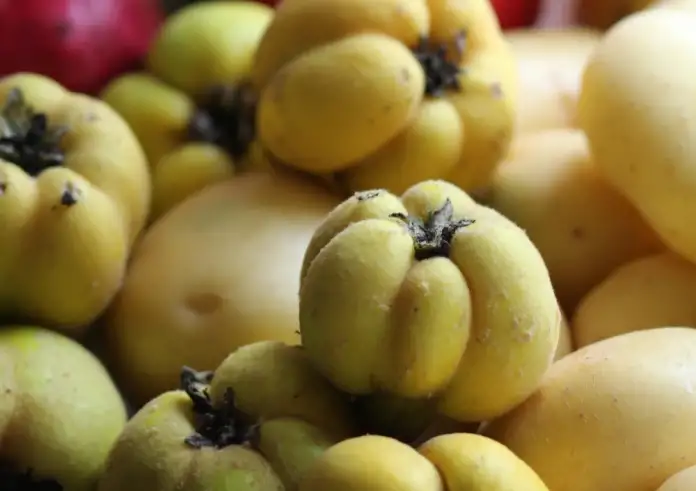 Κυδώνι: Ερχεται το φρούτο του Σεπτεμβρίου με 6 κορυφαία οφέλη