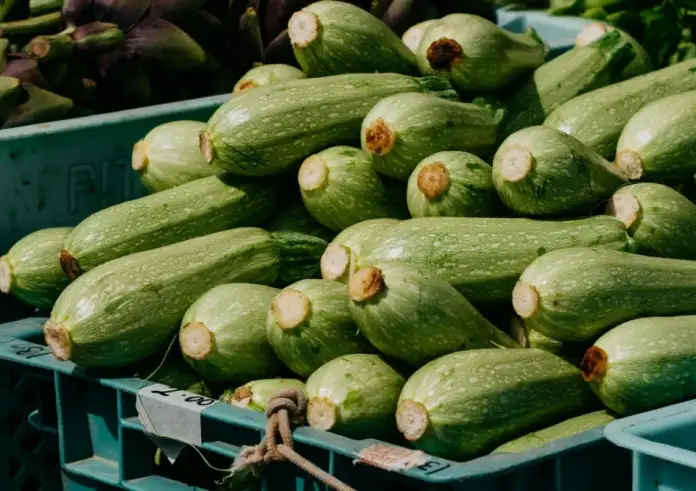 Κολοκυθάκια: Το απόλυτο καλοκαιρινό λαχανικό που μαγειρεύεται με δεκάδες τρόπους