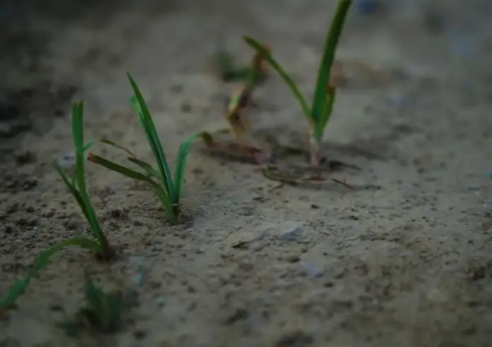 Λειψυδρία: Στην 19η θέση παγκοσμίως η Ελλάδα ως προς τον κίνδυνο ανεπάρκειας νερού