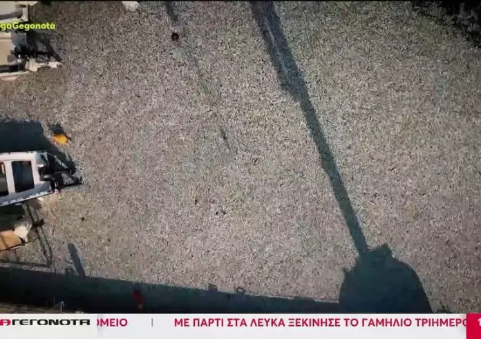 Βόλος: Υγειονομική βόμβα τα νεκρά ψάρια - Δόλωμα για καρχαρίες