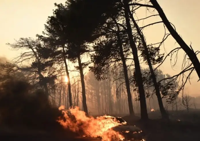 Όρος Όρβηλος: Δορυφορικές απεικονίσεις «φωτογραφίζουν» το μέγεθος της καταστροφής