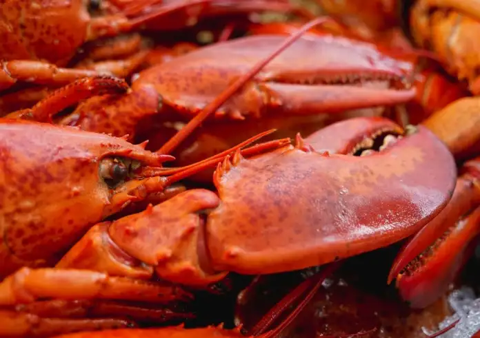 Τι είναι η πανώλη της καραβίδας – Ποιες περιοχές απειλούνται