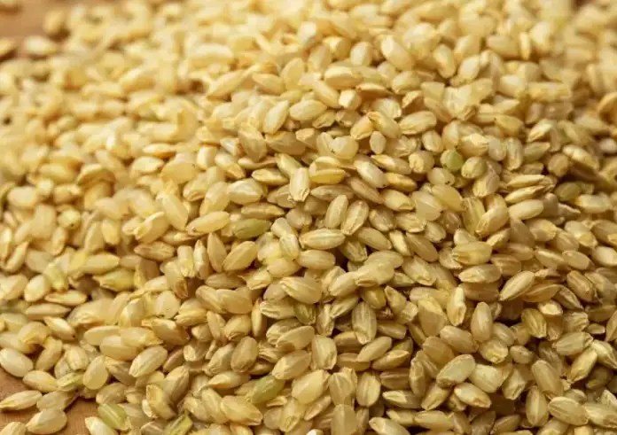 Πίτουρο ρυζιού: Η νέα υπερτροφή με τις αντικαρκινικές ιδιότητες