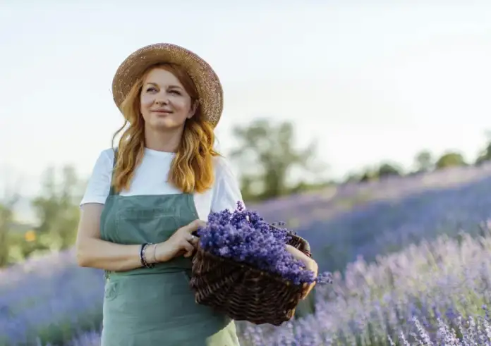 Πέντε αιθέρια έλαια για να διώξετε τους κοριούς