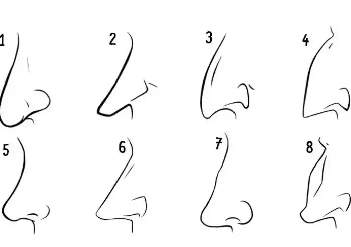 Η μύτη σου λέει πολλά για τον χαρακτήρα σου