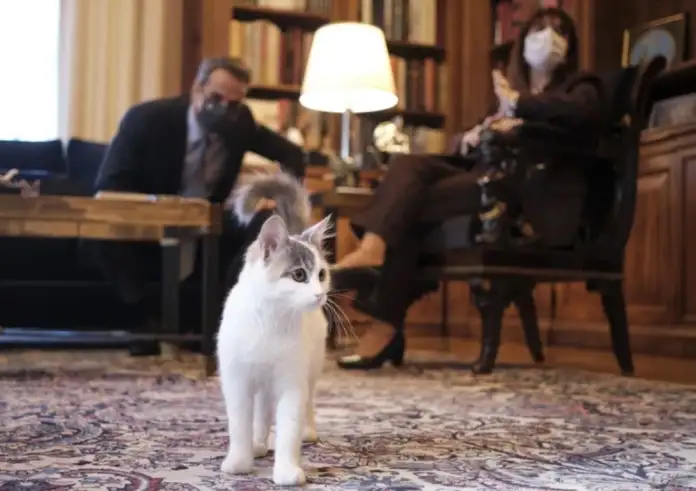 Τι θα απογίνει η Καλυψώ, η γάτα του Προεδρικού Μεγάρου, με την αποχώρηση της Κατερίνας Σακελλαροπούλου