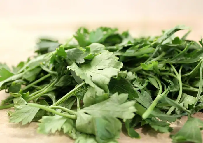 Το Ελληνικό θαυματουργό βότανο που προστατεύει από καρκίνο και διαβήτη