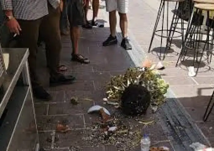 Πτώση γλάστρας στο Ενετικό Λιμάνι των Χανίων - Τραυματισμός τουρίστριας