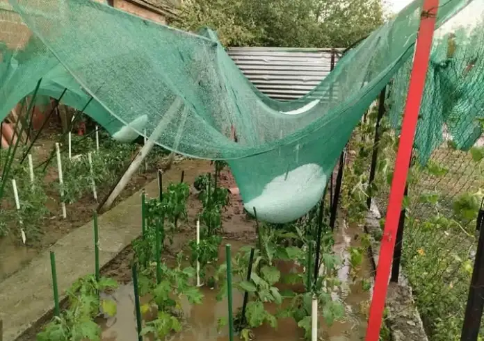 Καταστροφές στις καλλιέργειες από το χαλάζι. Κακοκαιρία χτύπησε Κοζάνη, Γρεβενά και Καρδίτσα