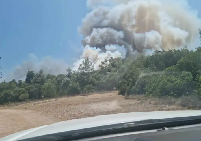 Φωτιά στον Μαραθώνα: Επιχειρούν 120 πυροσβέστες, δασοκομάντος και 17 εναέρια μέσα