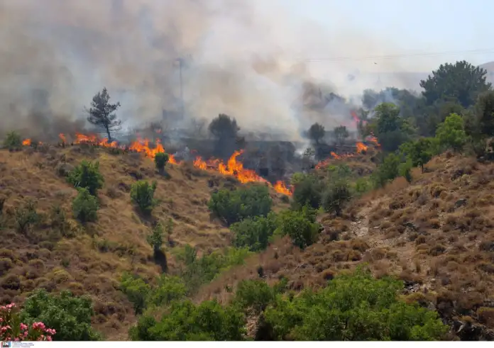 Φωτιά στη Χίο: Προσήχθη νεαρή από τη Γεωργία – Φίλη της ετοιμαζόταν να εγκαταλείψει την Ελλάδα
