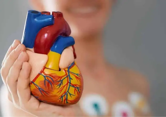 Φτερούγισμα στη καρδιά ή αλλιώς αίσθημα παλμών – Μην τρομάζεις…