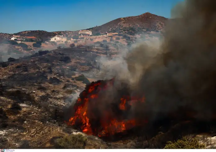Φωτιά στην Παλαιά Φώκαια: Kαταστράφηκαν σπίτια και περιουσίες στο Θυμάρι – Οι έρευνες για τα αίτια