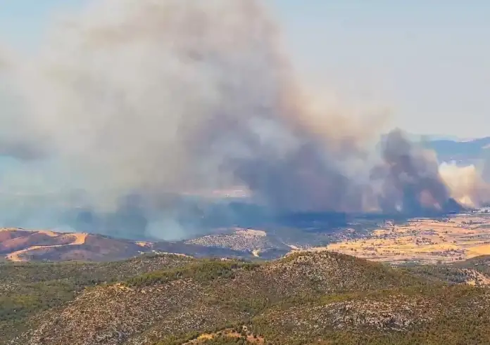Μεγάλη φωτιά στην Εύβοια – 60 πυροσβέστες και τρία ενάερια στο σημείο