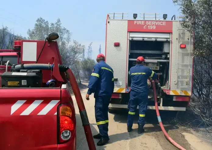 Φωτιά σε ρεματιά στην Αλεξανδρούπολη – Επιχερούν και εναέρια μέσα