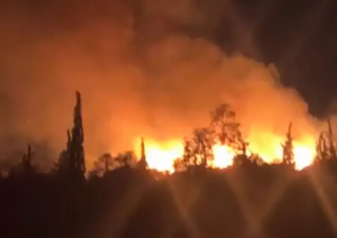 Φωτιά τώρα στη Ζωφριά – Μεγάλη κινητοποίηση της Πυροσβεστικής