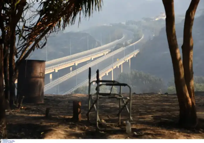 Πάτρα: Στάχτη και αποκαΐδια παντού – Συγκλονιστικές φωτογραφίες από την πύρινη καταστροφή