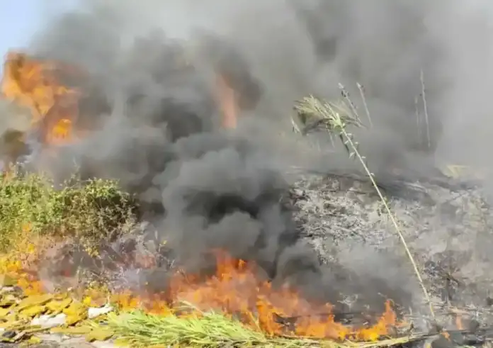 Συναγερμός στην Πρέβεζα: Νέα φωτιά στην Καστροσυκιά – Αναζωπύρωση στη Βρυσούλα