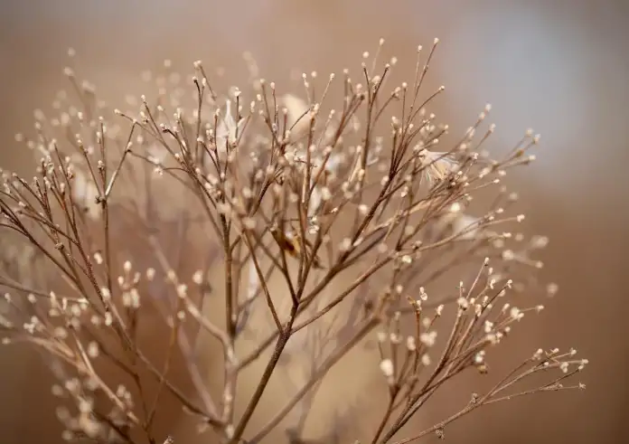 1816: Η χρονιά που ο κόσμος έμεινε χωρίς καλοκαίρι