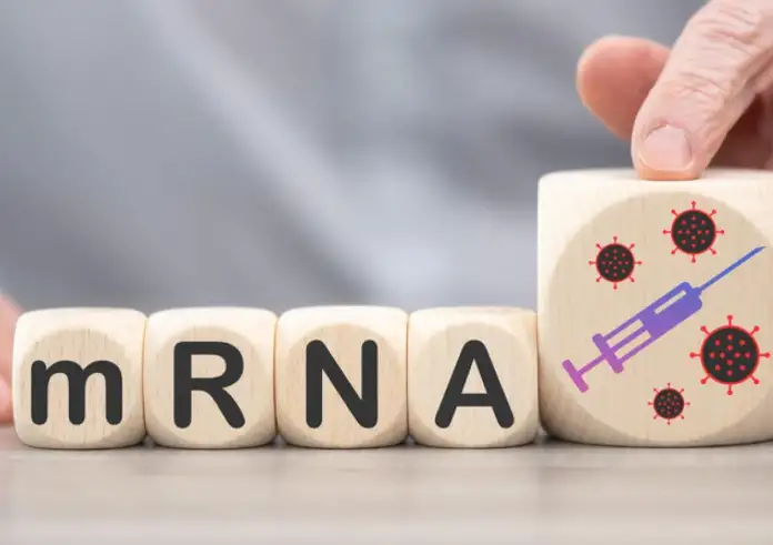 ΗΠΑ: Η κυβέρνηση ακυρώνει τη χρηματοδότηση mRNA εμβολίων για γρίπη των πτηνών και χοίρων