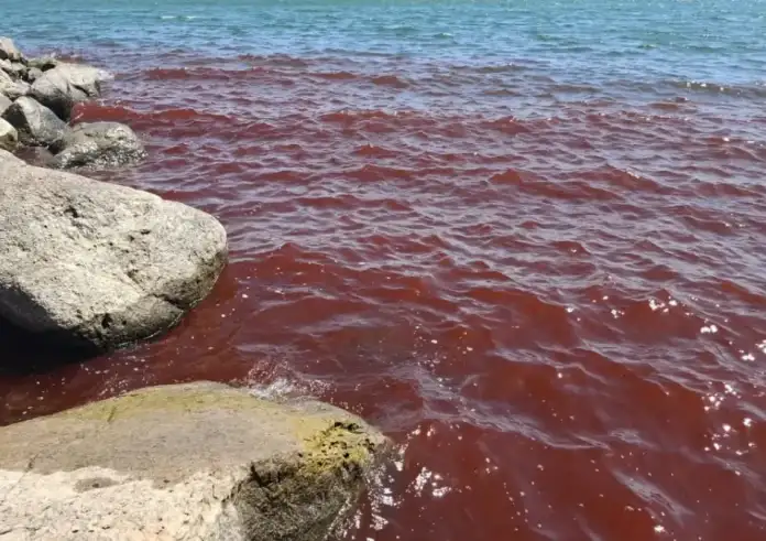 Ισραήλ: Κοκκίνισε η Θάλασσα της Γαλιλαίας – Τι αναφέρουν οι αρχές