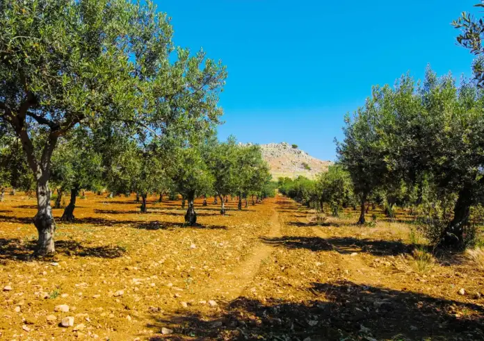 Σκάνδαλο ΟΠΕΚΕΠΕ: 1,7 Εκατομμύρια € σε παράνομες επιδοτήσεις – Αγρότες με πολυτελή αυτοκίνητα και Bitcoin