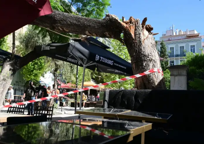 Πλατεία Αγίας Ειρήνης: 40 ετών το δέντρο που ξεριζώθηκε – Στο ΝΙΜΤΣ η τραυματίας γυναίκα