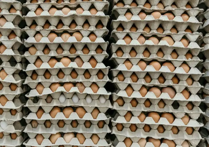 «Συναγερμός για τα αυγά;» – Τι απαντούν οι ειδικοί για την έρευνα με τις τοξικές ουσίες
