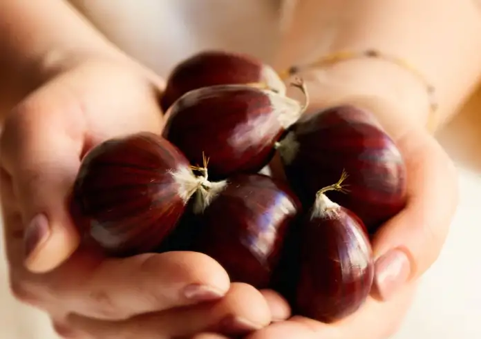 Δείτε ποιο φρούτο του φθινοπώρου προστατεύει την καρδιά και μειώνει τη χοληστερίνη