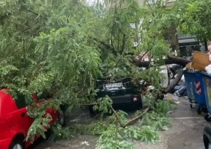 Κακοκαιρία στην Αθήνα: Δέντρο ξεριζώθηκε και τραυμάτισε μοτοσικλετιστή στο κέντρο