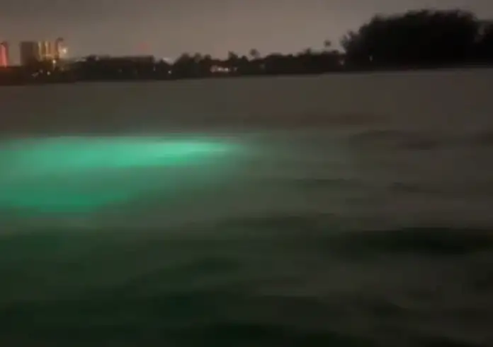 Χιλιάδες αναφορές για μυστηριώδη υποβρύχια αντικείμενα στις ΗΠΑ