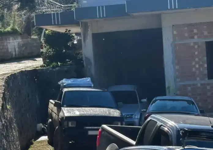 Αχαΐα: Συγκλονίζει ο θείος του 3χρονου – Η ομολογία για το δυστύχημα με τη γουρούνα